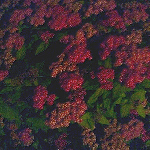 老太做爰高潮视频
